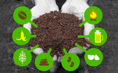 PHÂN BÓN HỮU CƠ – GIẢI PHÁP BỀN VỮNG CHO NỀN NÔNG NGHIỆP HIỆN ĐẠI