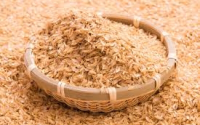 VỎ TRẤU - NGUỒN NGUYÊN LIỆU QUÝ